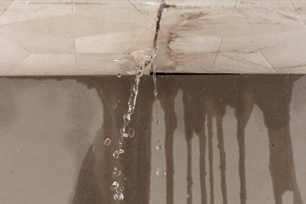 Professional Flood Damage Cleanup technician working in Scottville, MI
